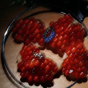 免费看裸体🔞🔞🔞网站阳水
