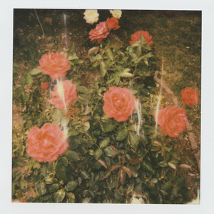 免费看裸体🔞🔞🔞网站阳水
